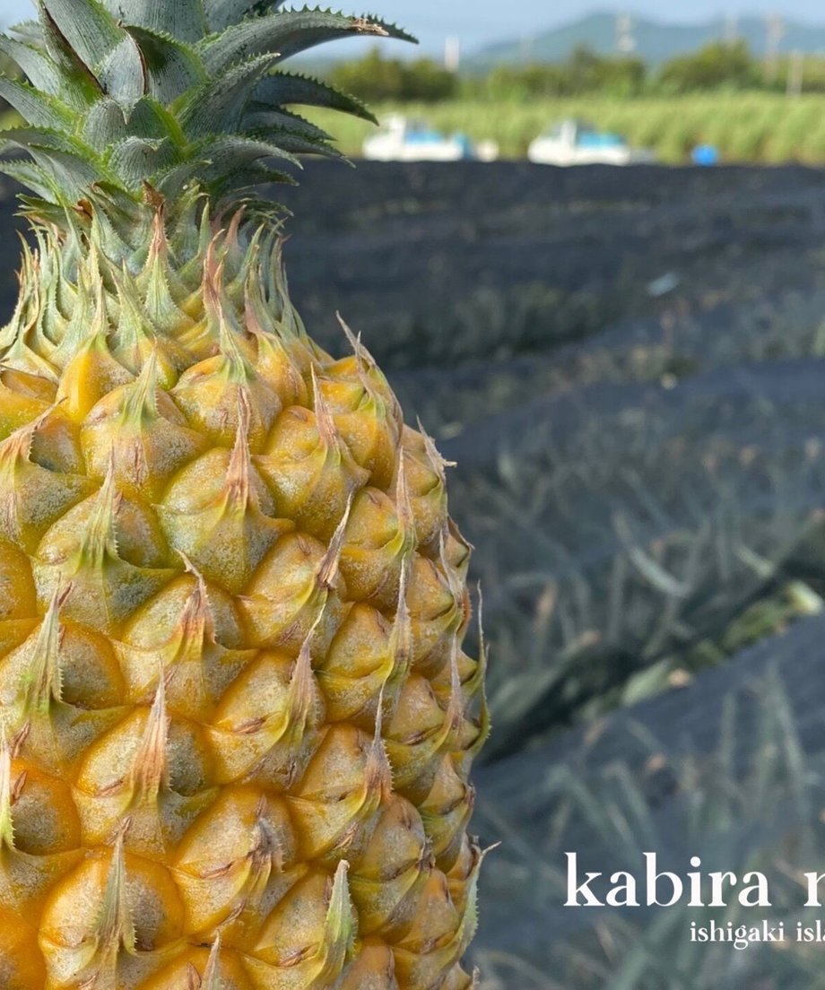 627a27ba84ec6e662061e3e7