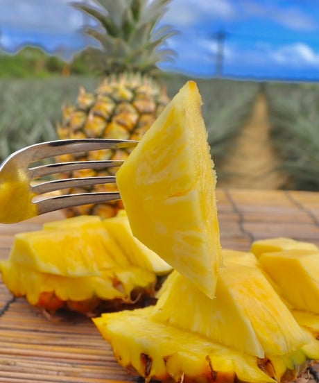 【ピーチ・スナックパイン果汁50%使用🍍】石垣島のパイン農家が作る完熟ピーチパインのスッキリ爽やかジェラート🍧6個セット！！