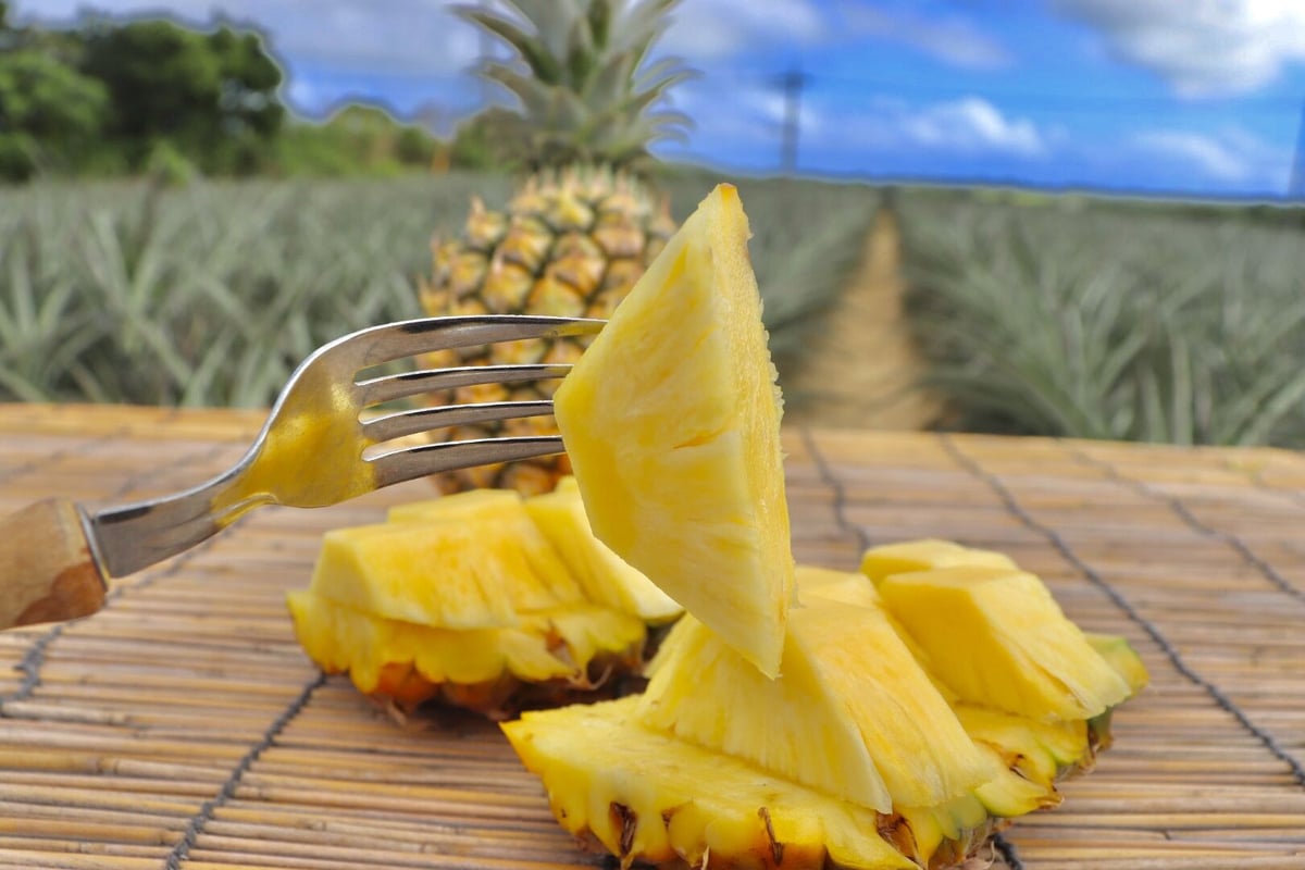 fit=scale-down,w=1200