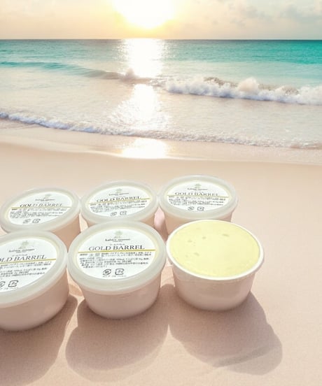 【暑い夏にオススメ❣️】石垣島のパイン農家が作る完熟ゴールドバレルのスッキリ爽やかジェラート🍧6個セット！！
