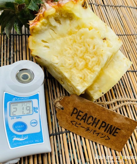 【味に自信あり！】ジューシーでピーチのような香り！ 【石垣島産】ピーチパイン 6玉　4ｋｇ～4．8ｋｇ