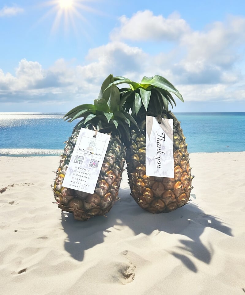 石垣島産】ジュワリーパインとスナックパインのお得な食べ比べ