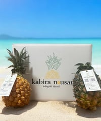 【高級パイン】沖縄県　石垣島産　ゴールドバレル　5キロ(5-6玉) 高級パイン】沖縄県 石垣島産 ゴールドバレル 5キロ(5-6玉)