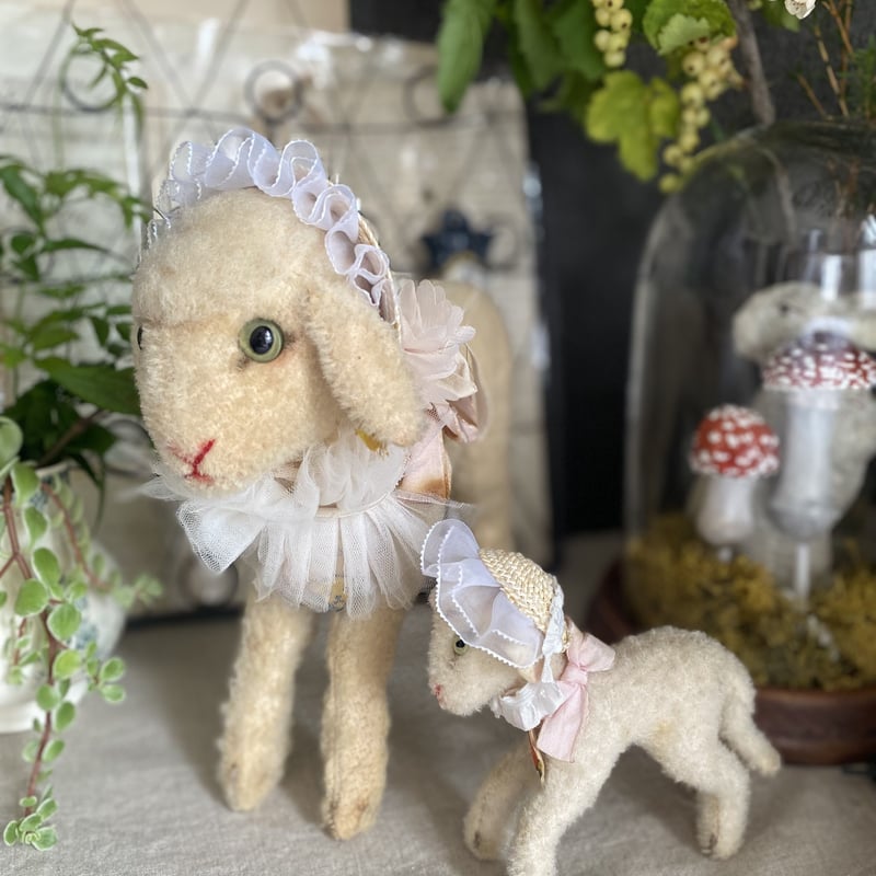 morphose レースケープ ホワイト フリル ボリュームレースフリル夏ケープ：白 - MARBLE ~online shop~