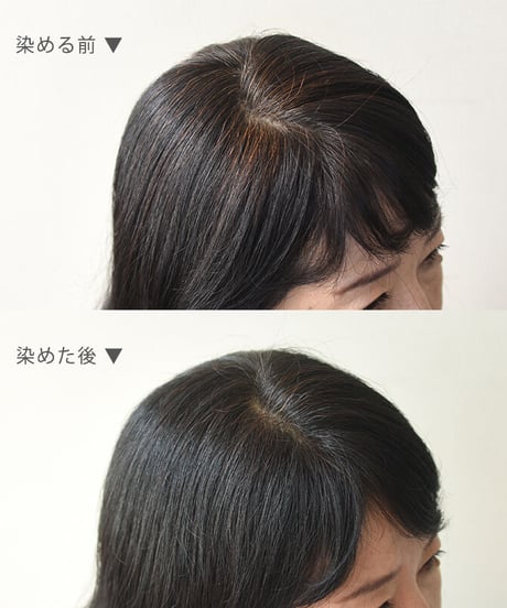 ナイアード ヘナ＋木藍 黒（100g）