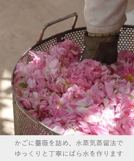 ナイアード 朝摘みばら水（100ml）