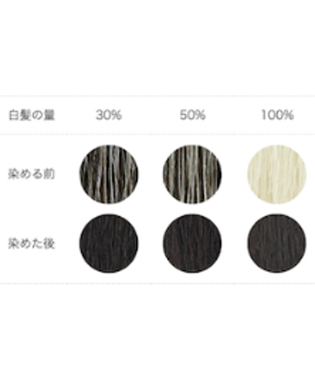 ナイアード ヘナ＋木藍 黒（100g）