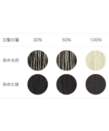 ナイアード ヘナ＋木藍 黒（100g） | オーガニックライフサポートSORA