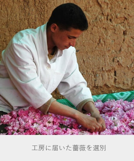 ナイアード 朝摘みばら水（100ml）