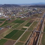 加古川パスタ 純国産デュラム小麦100% | 安心 パスタ 兵庫 八幡営農
