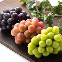 ご贈答・特秀品【3品種ミックス・ぶどう詰合せ】　発送時期：8月下旬頃～９月中旬頃