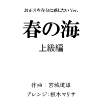 【アレンジ】春の海_上級編_お正月を存分に感じたいVer.