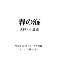 【アレンジ】春の海_入門・中級編