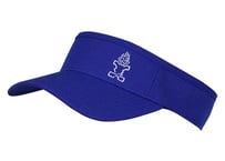 【STAR BOARD】TIKI VISOR-TEAM BLUE サンバイザー