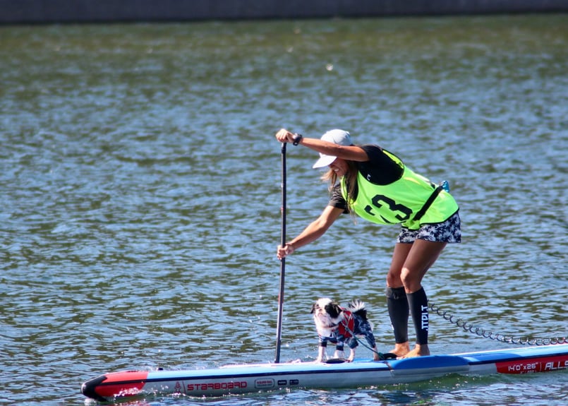 JET PIROT レッグサポーター | BEACH LIFE ｜SUP＆DOG
