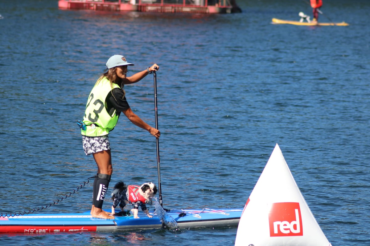 JET PIROT レッグサポーター | BEACH LIFE ｜SUP＆DOG