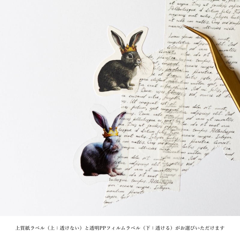 paper moon様用 Amazon | Six Moon Designs (シックスムーンデザインズ) SMD