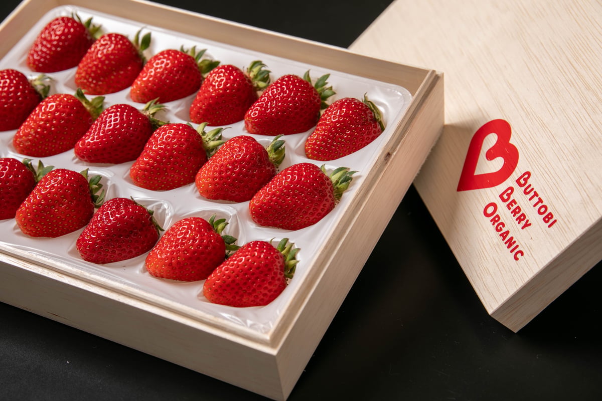 桐箱入り 中粒(18粒 ) 1箱 | BUTTOBI BERRY ORGANIC JAPAN(