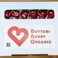 桐箱入り とくしまオーガニックいちご・中粒(18粒 さちのか) 1