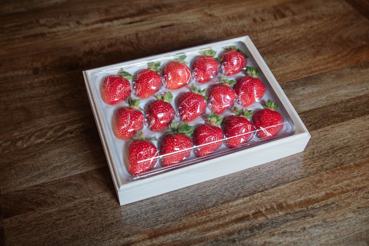 いちご☆様 N.エキスパ/ヤマト便 fit=scale-down,w=1200