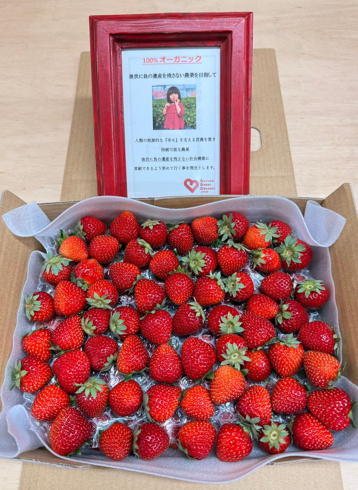 小粒訳あり!!(約1kg) とくしまオーガニックいちご・さちのか 1箱