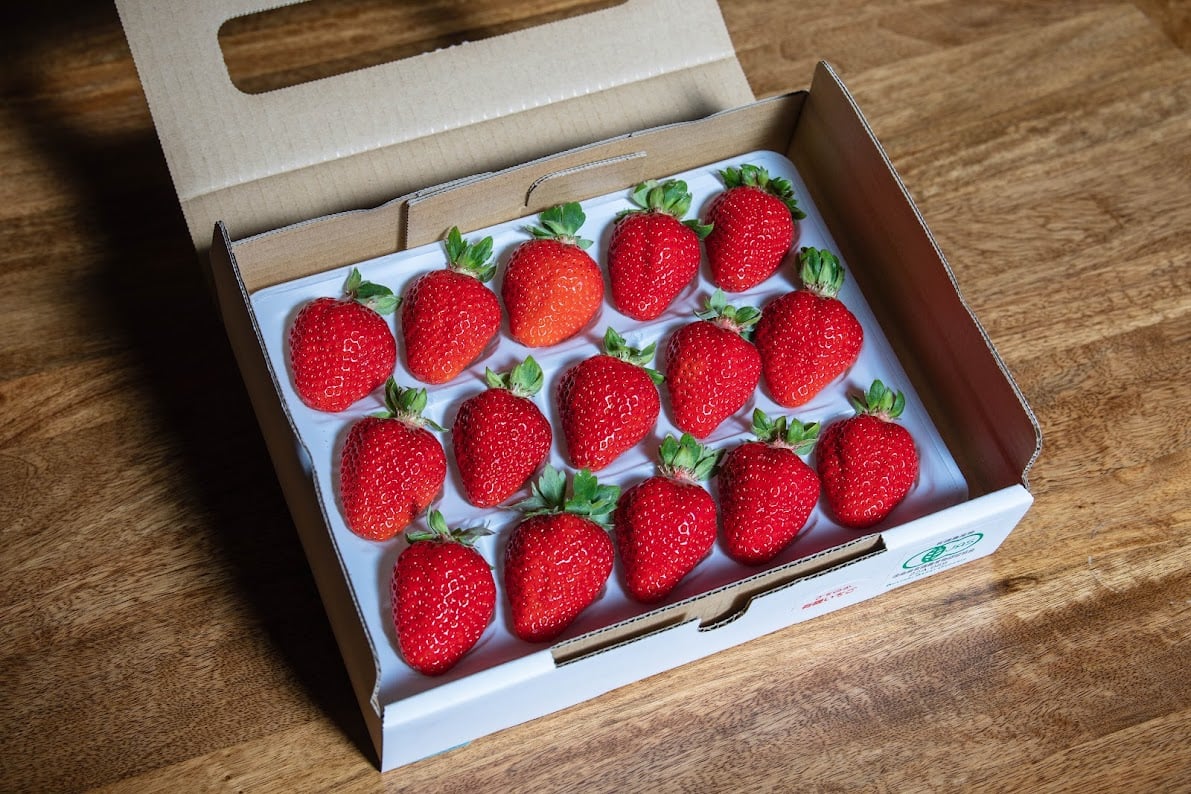 大粒(15~12粒 ) 2パック入り 1箱 | BUTTOBI BERRY ORGANIC J