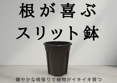 【単品】+PLANTS_スリット鉢・ロング（3号サイズ）