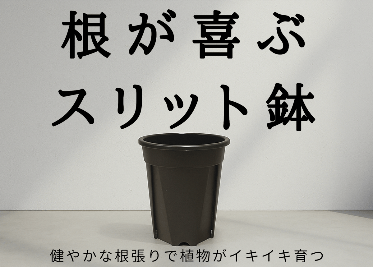 単品】+PLANTS_スリット鉢・ロング（3号サイズ） | Plus_Plants STORE