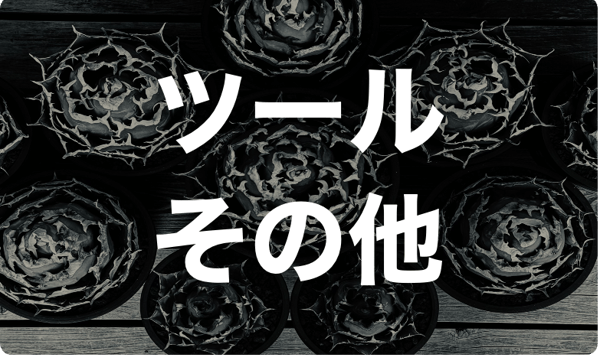 夏休み企画第4弾！！アガベ希少品種&おすすめ塊根計19種セット ☆2セット限定 夏休み企画第4弾！！アガベ希少品種&おすすめ塊根計19種セット