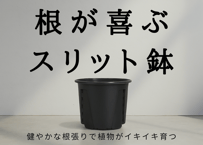 【10個セット】+PLANTS_エアフローポット・スリット鉢（5号サイズ）
