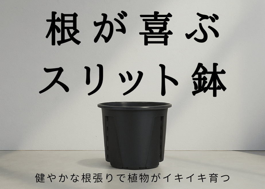 68590fa5f6398e005f3353bb