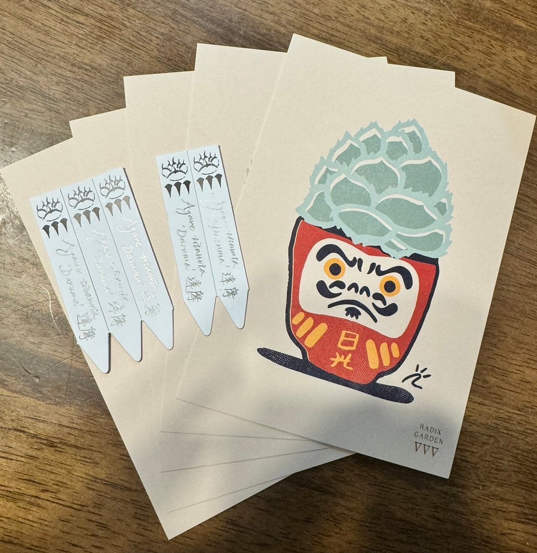 アガベ Dennis 達磨 子株 Agave Titanota DARUMA アガベ Dennis 達磨 子株 Agave Titanota DARUMA