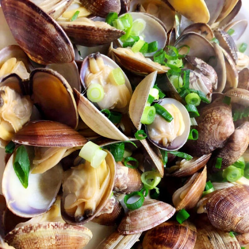 あさり巻きかご あさり巻きかご