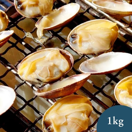 渥美漁業協同組合オンラインストア