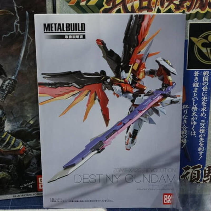 METAL BUILD メタルビルド デスティニーガンダム(ハイネ機 METAL BUILD メタルビルド デスティニーガンダム(ハイネ機