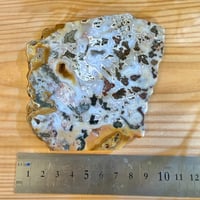 マダガスカル産 オーシャンアゲート スライス