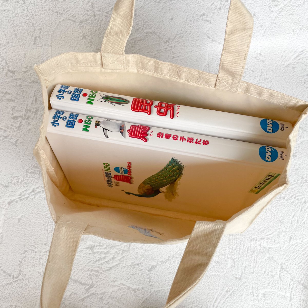 専用　絵本バッグ 入園入学 kippis 2色使いのレッスンバッグキット ケサクッカ