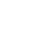 Rose Bébé