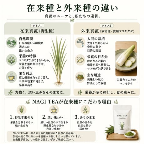 【温活】真菰蒸し専用浴剤　60g