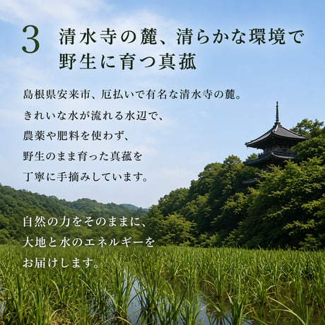 【送料無料】真菰茶3種飲み比べセット