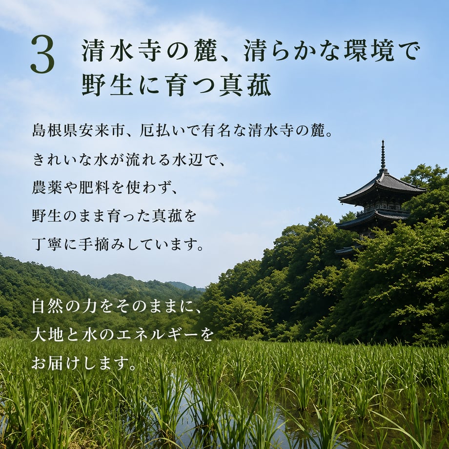 649af3059391c40038b7d697