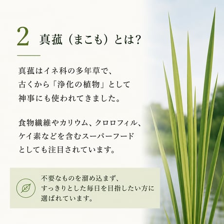 【送料無料】真菰茶3種飲み比べセット