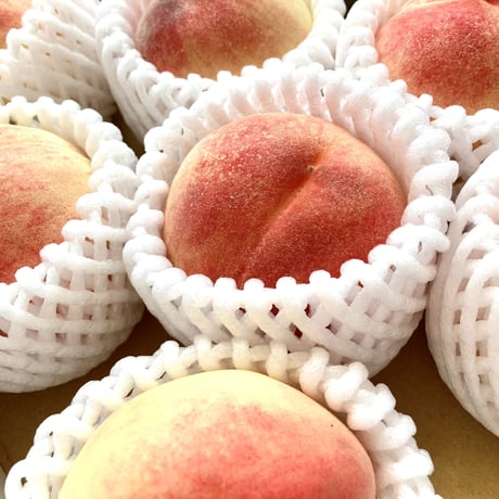 桃と赤すぐりのタルト