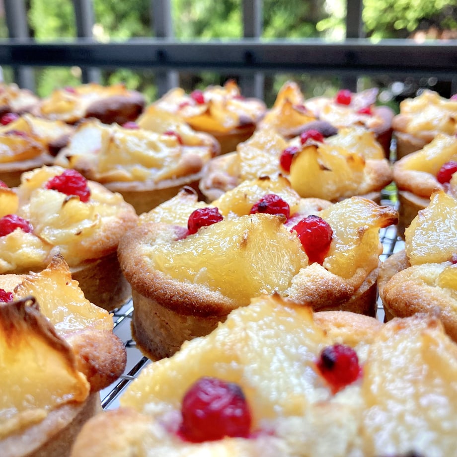 62caef774ff8c221dc197f09