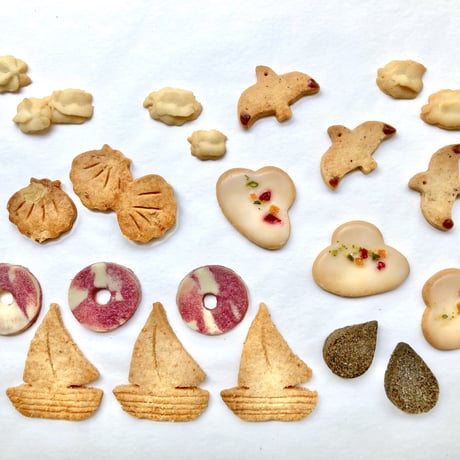 【10%OFF】夏のクッキー缶