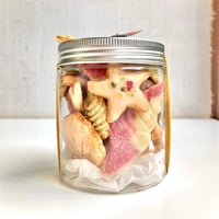 貝がらクッキー