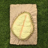 Durian-01