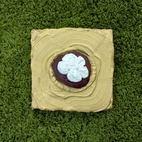 Mangosteen-01