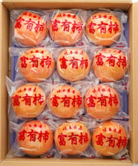 ■フレッシュパック富有柿１段詰め２Ｌ１２個入約3.3kg　本場岐阜県産■／産地直送