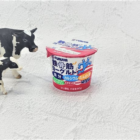 鉄骨筋ヨーグルト9個セット